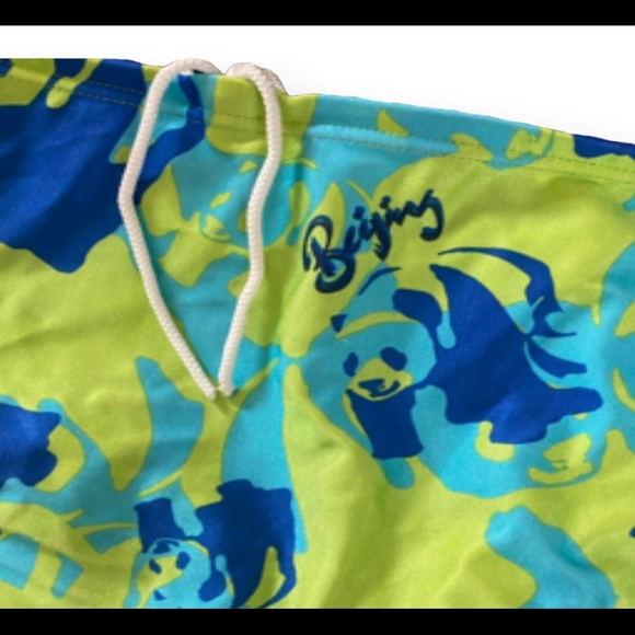 Speedo Bikini Racing 2 Piece Blue Green Aqua Panda Beijing - Picture 5 of 7